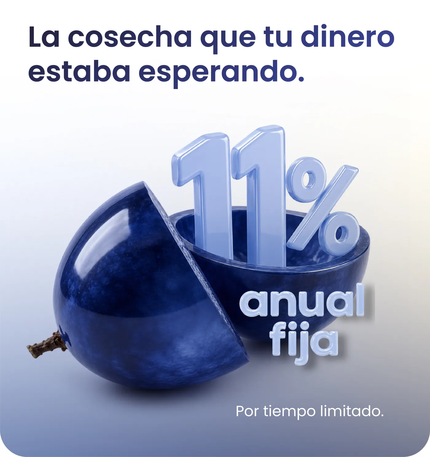 Finsus